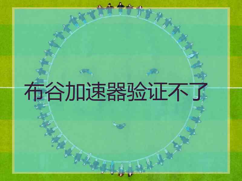 布谷加速器验证不了