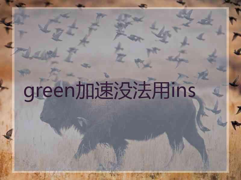 green加速没法用ins