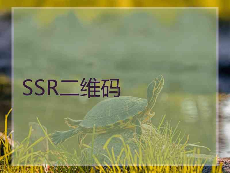 SSR二维码