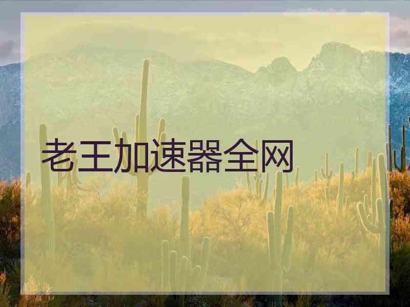老王加速器全网