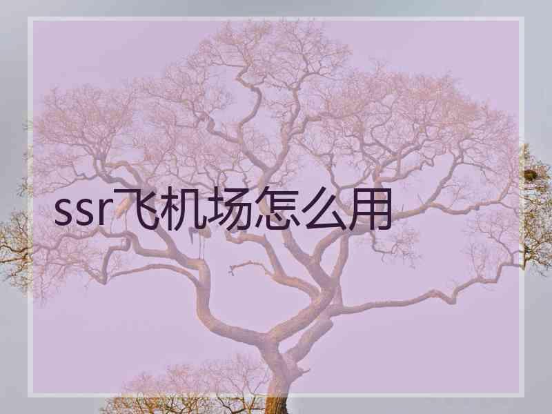ssr飞机场怎么用