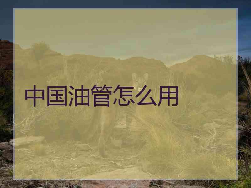 中国油管怎么用
