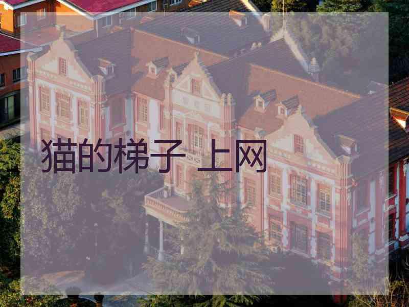 猫的梯子 上网
