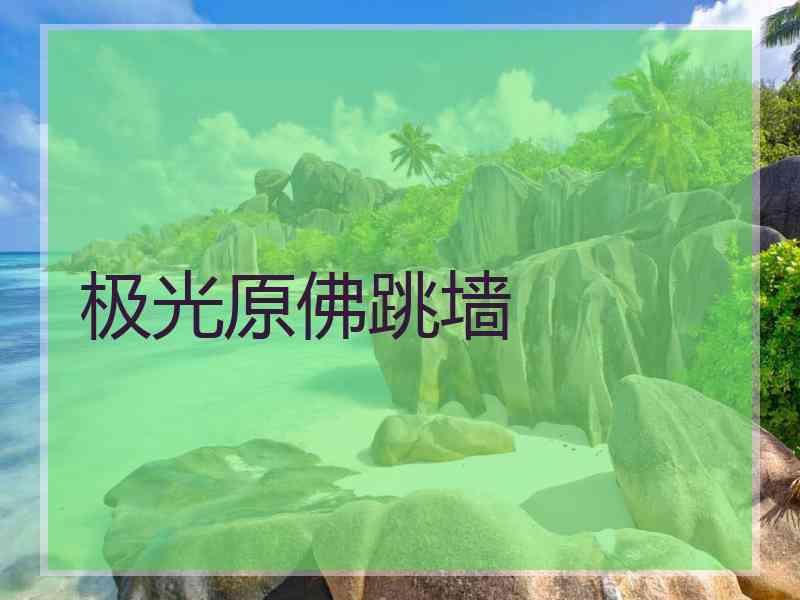 极光原佛跳墙