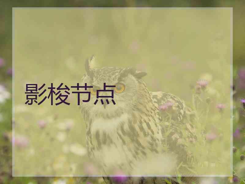 影梭节点
