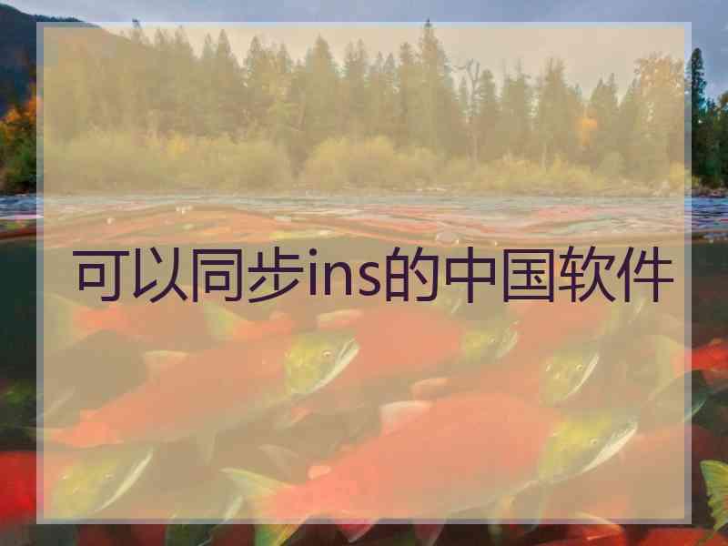 可以同步ins的中国软件