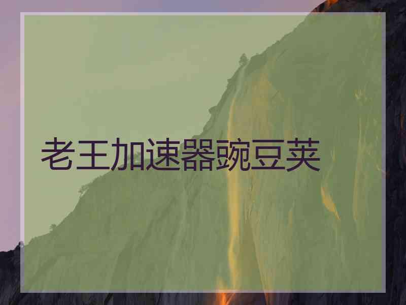 老王加速器豌豆荚
