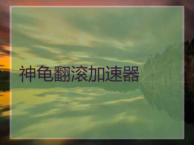神龟翻滚加速器