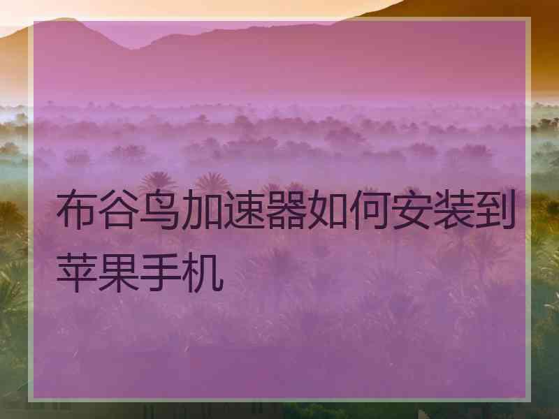 布谷鸟加速器如何安装到苹果手机