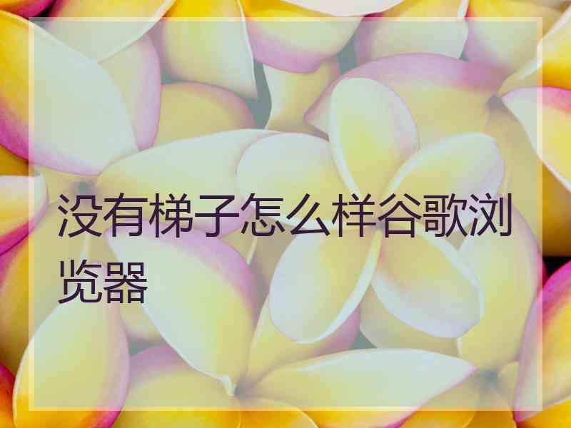 没有梯子怎么样谷歌浏览器