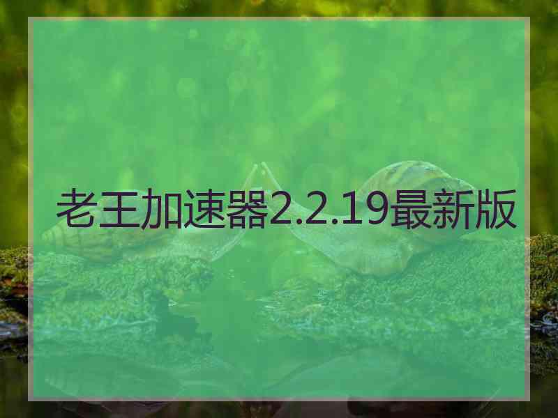 老王加速器2.2.19最新版