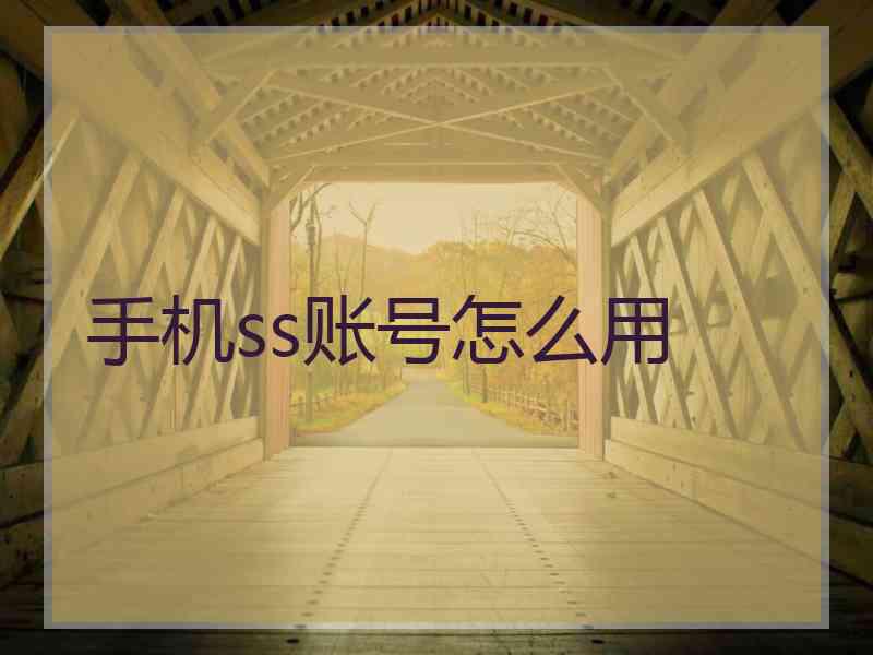 手机ss账号怎么用