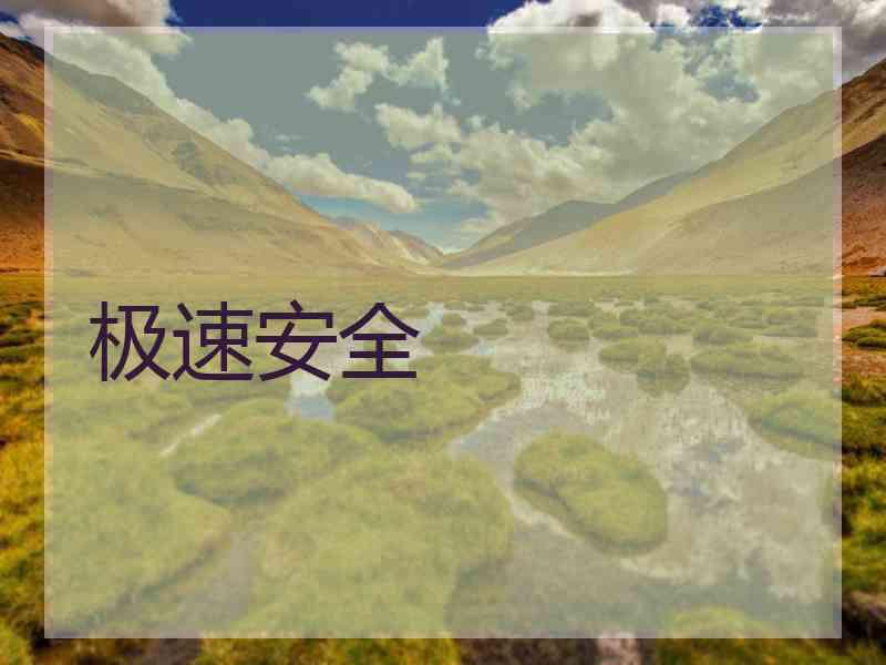 极速安全