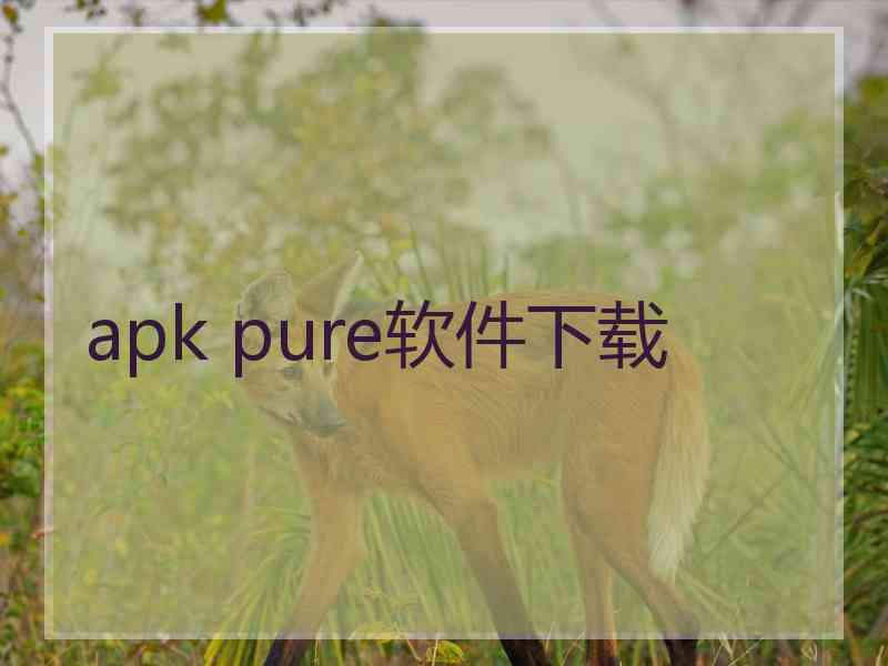 apk pure软件下载