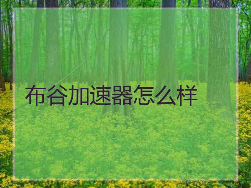 布谷加速器怎么样