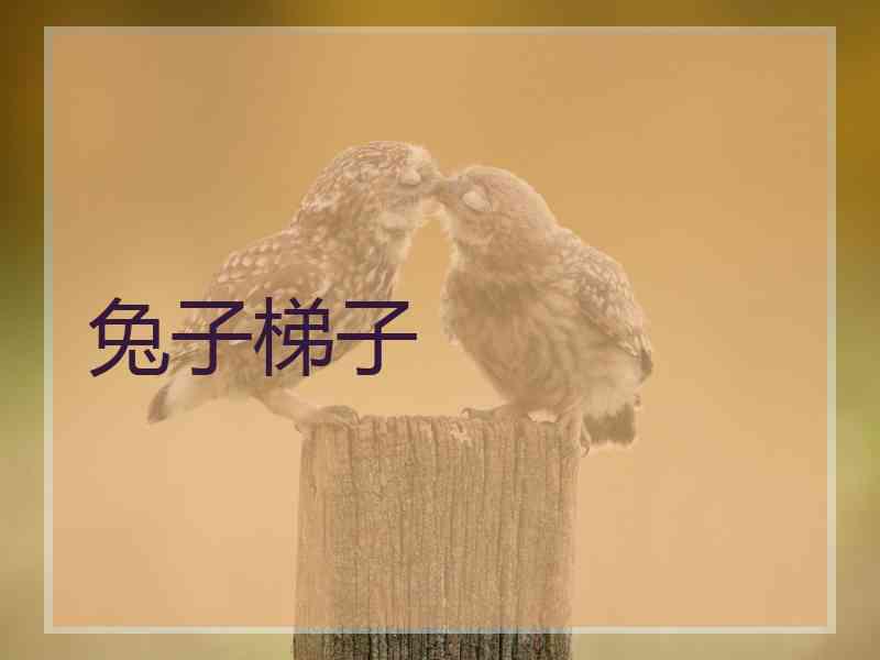 兔子梯子