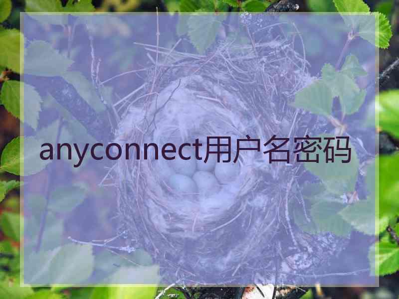 anyconnect用户名密码