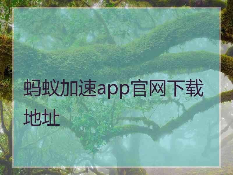 蚂蚁加速app官网下载地址