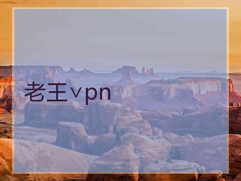 老王∨pn