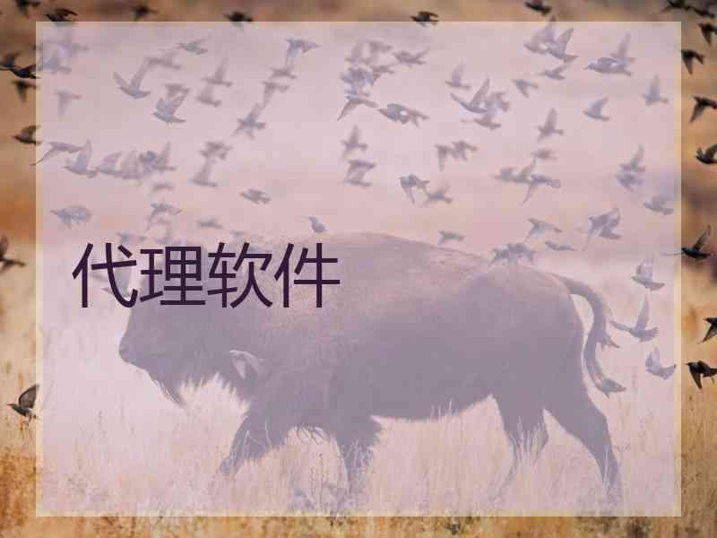 代理软件