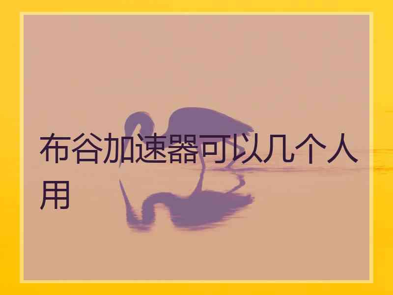 布谷加速器可以几个人用
