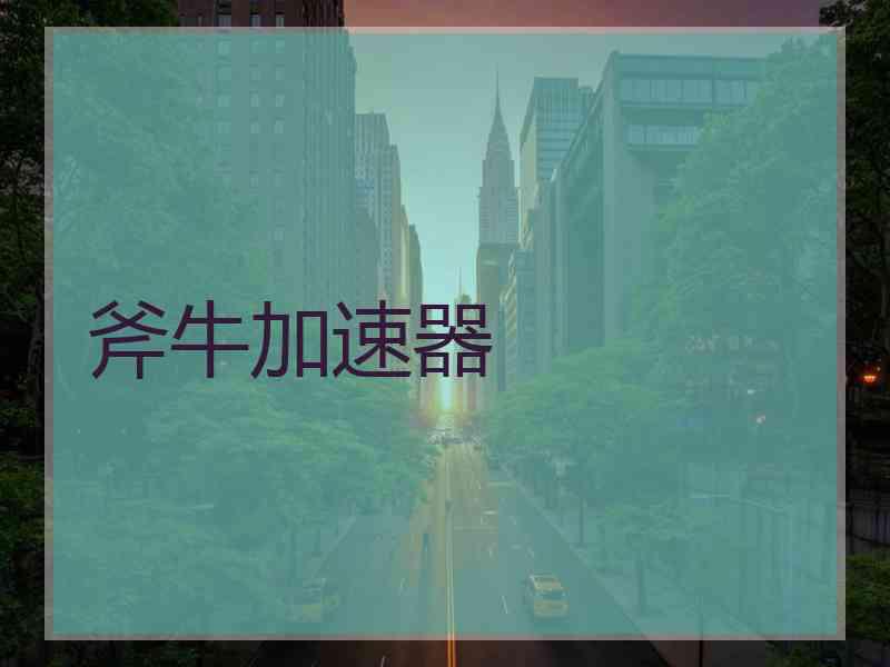 斧牛加速器