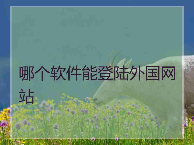 哪个软件能登陆外国网站