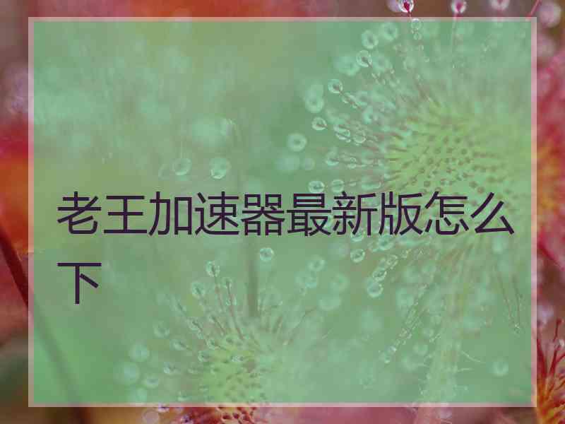老王加速器最新版怎么下