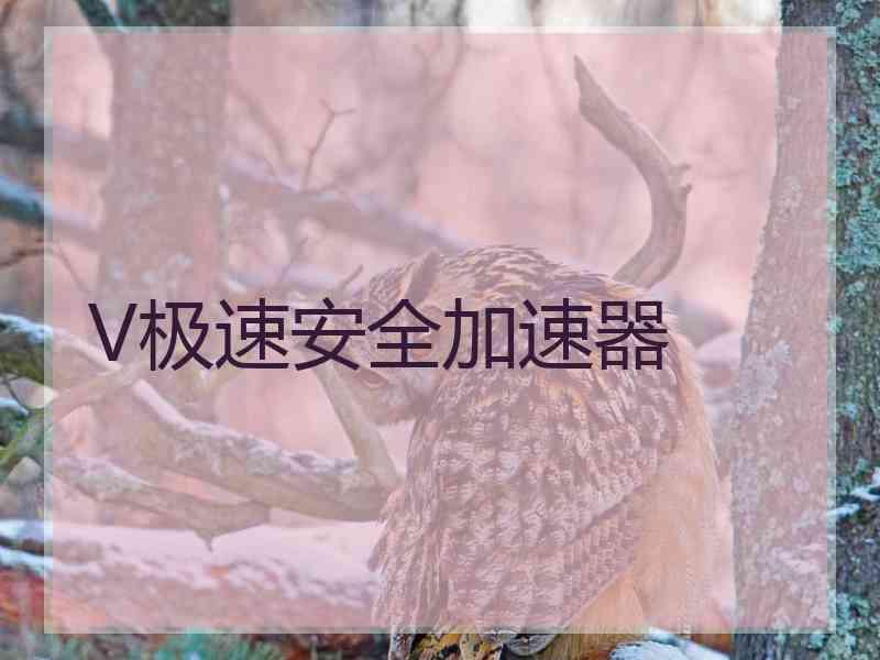 V极速安全加速器