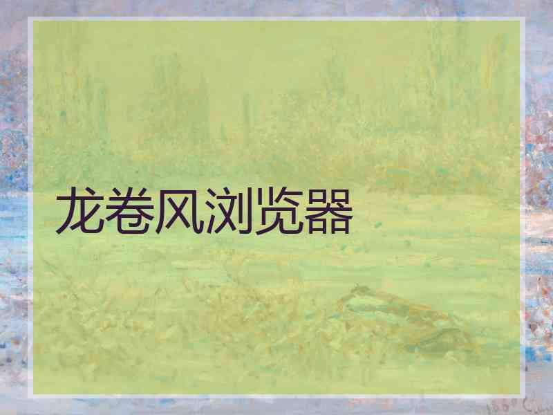 龙卷风浏览器