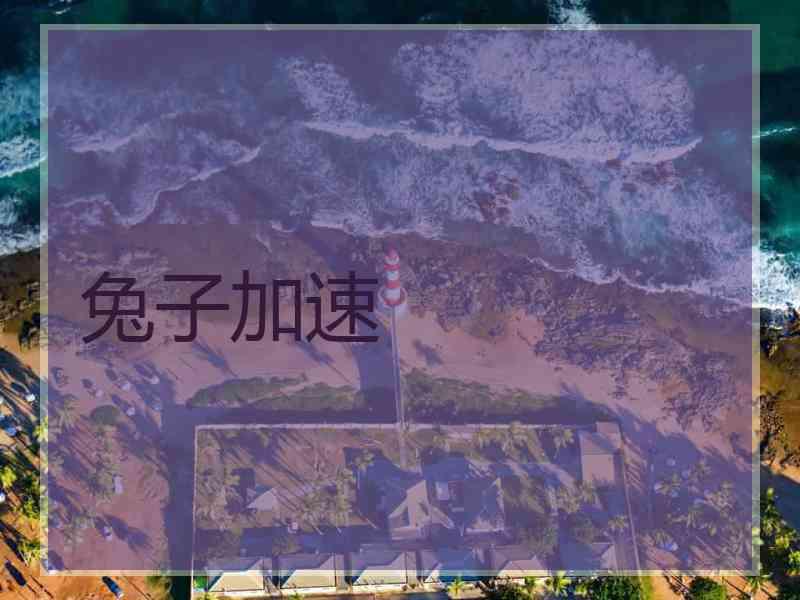 兔子加速