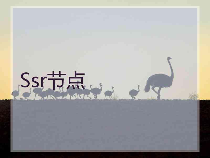 Ssr节点