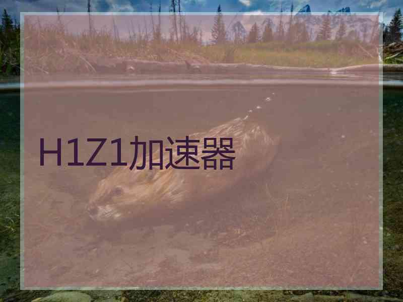 H1Z1加速器