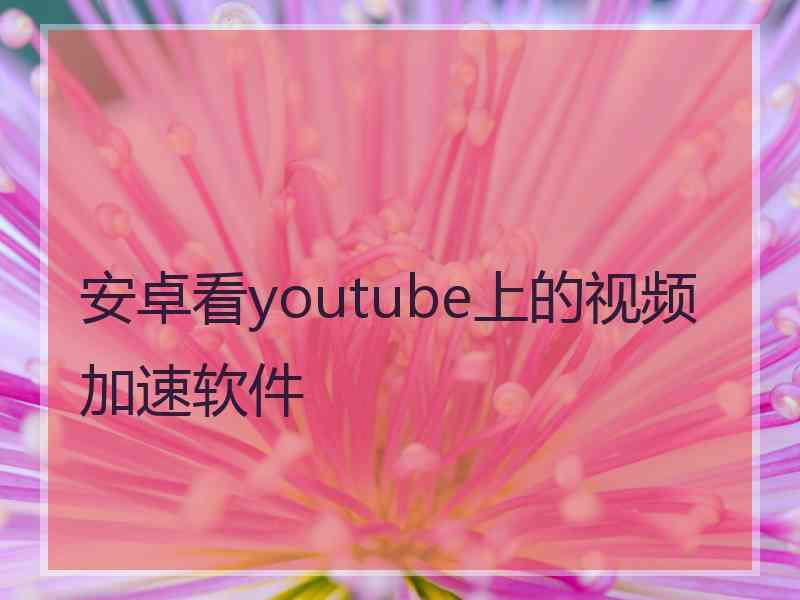 安卓看youtube上的视频加速软件