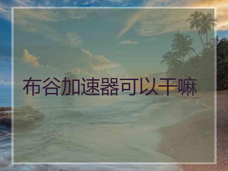 布谷加速器可以干嘛