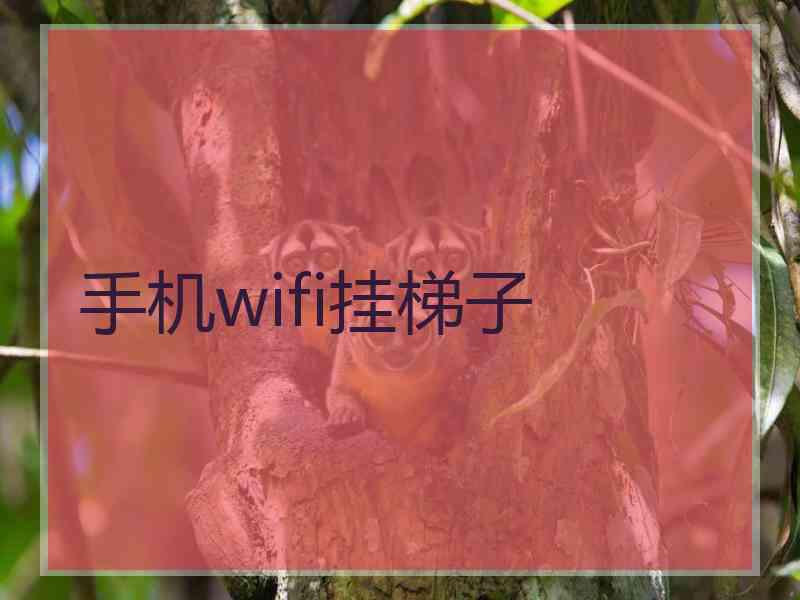 手机wifi挂梯子