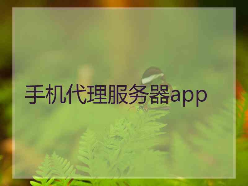 手机代理服务器app