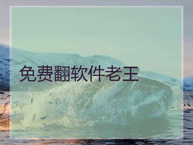 免费翻软件老王