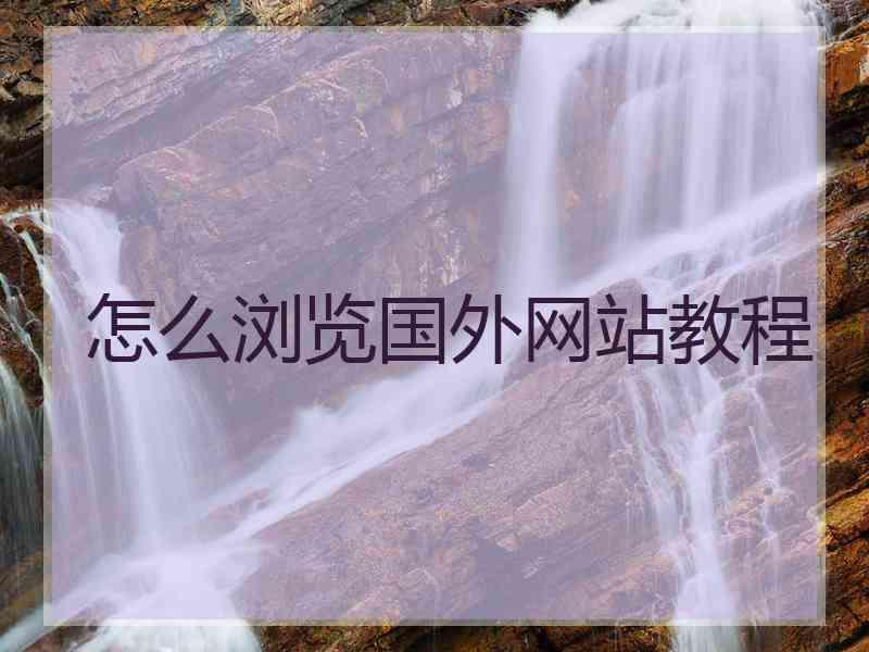 怎么浏览国外网站教程