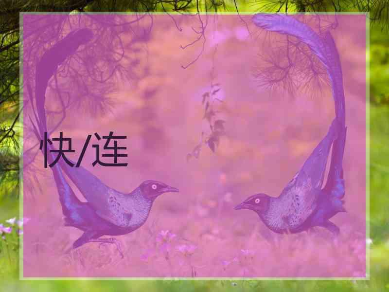 快/连