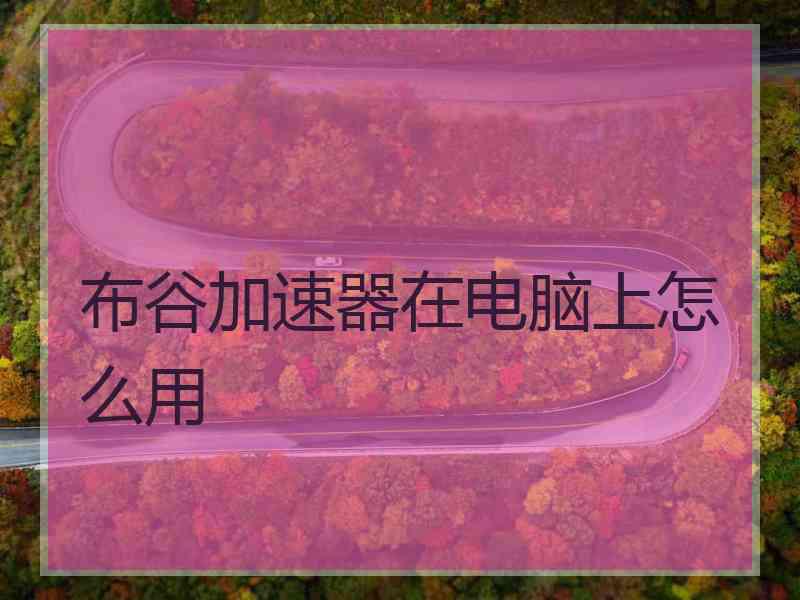 布谷加速器在电脑上怎么用