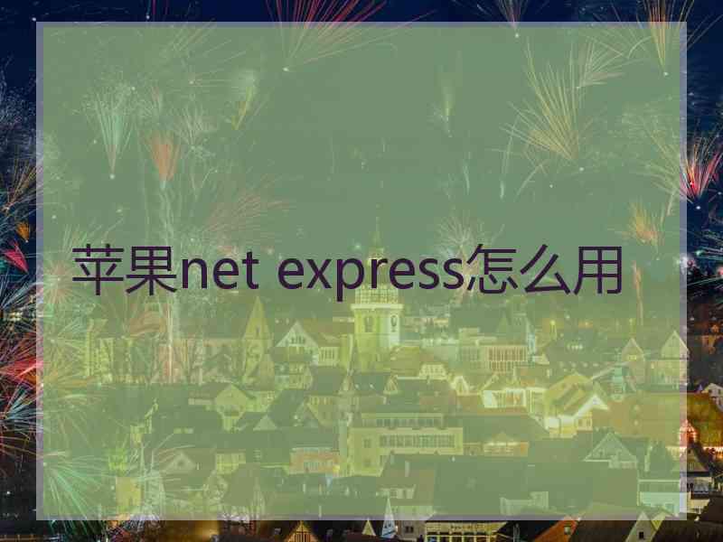 苹果net express怎么用