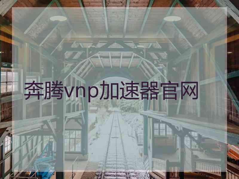 奔腾vnp加速器官网