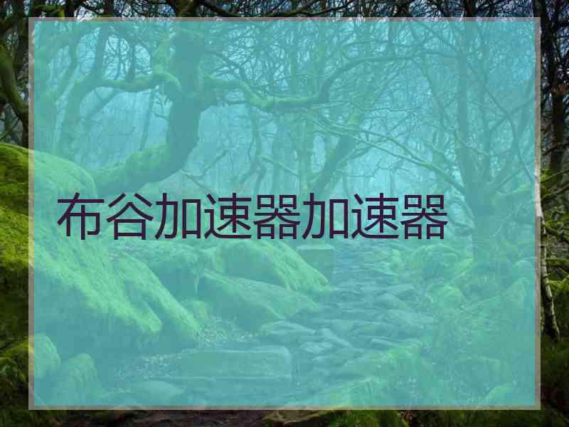 布谷加速器加速器