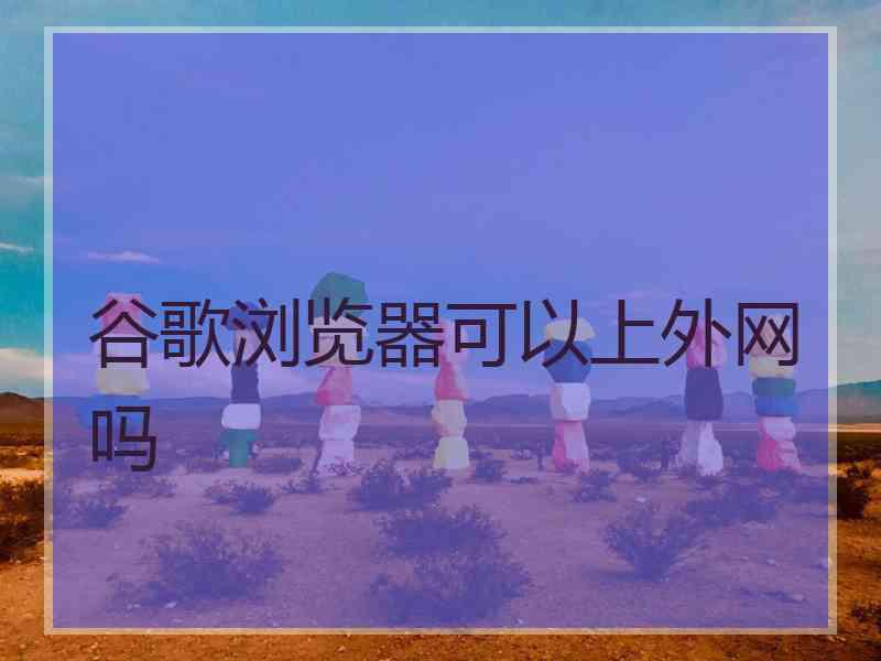 谷歌浏览器可以上外网吗