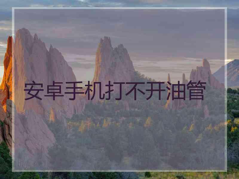 安卓手机打不开油管