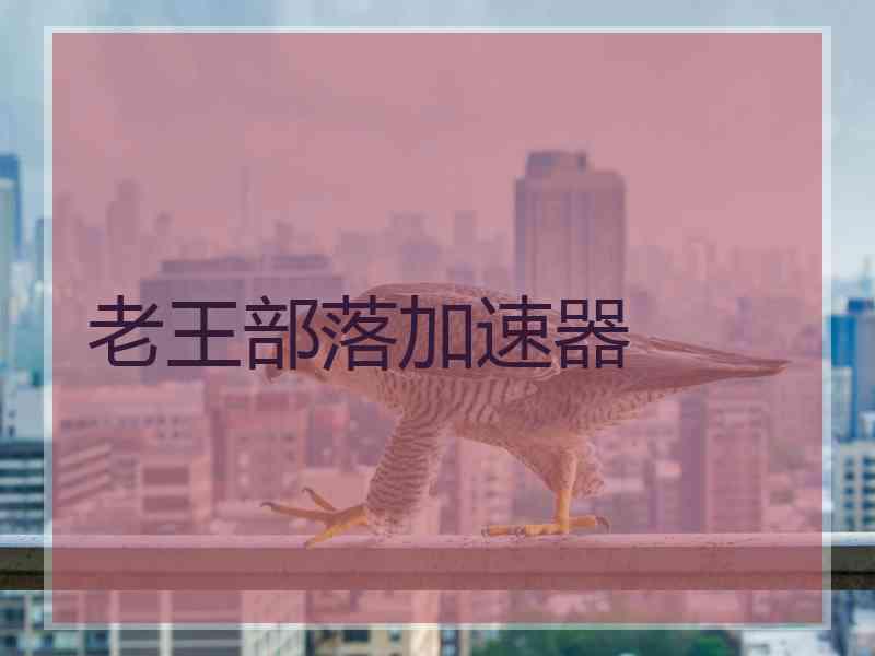 老王部落加速器