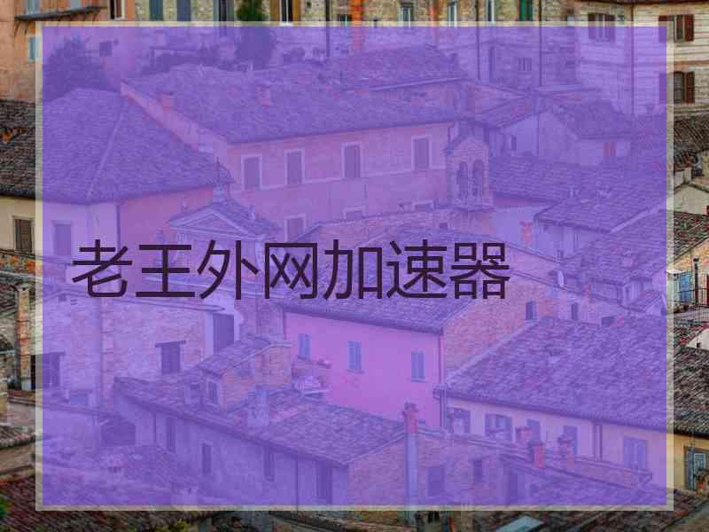 老王外网加速器