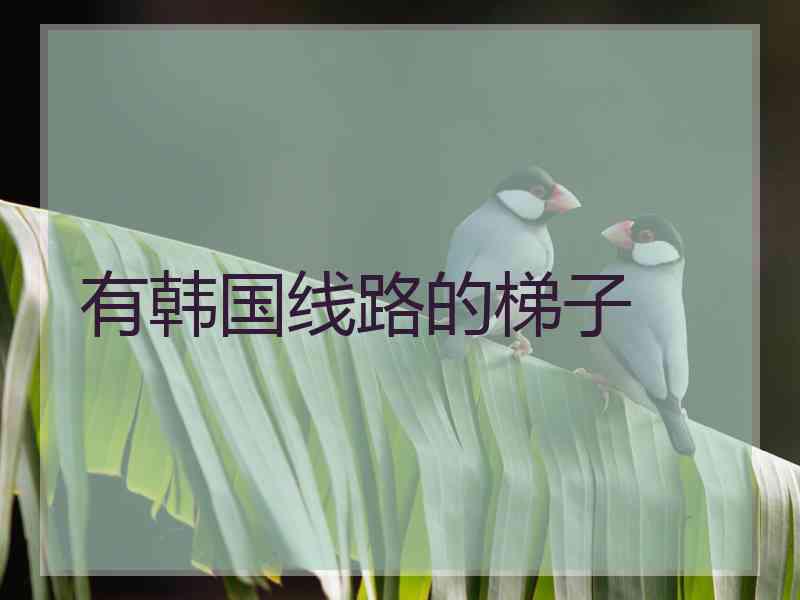 有韩国线路的梯子