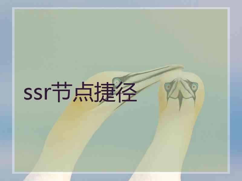 ssr节点捷径